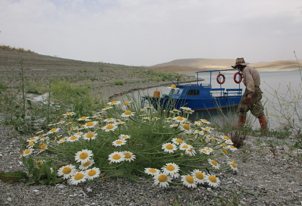 Tunceli'de sevindiren görüntü! Sular yükseldi 2