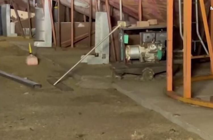 Yamyam fareler ülkeyi sardı! Ölümcül hastalık yayıyorlar... 12