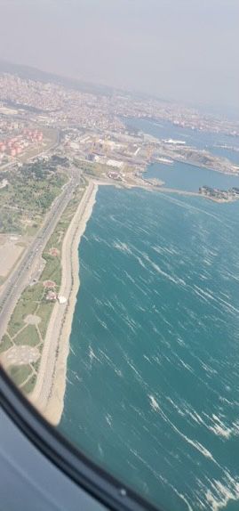 Deniz salyası Marmara Denizi'ni esir aldı! 3