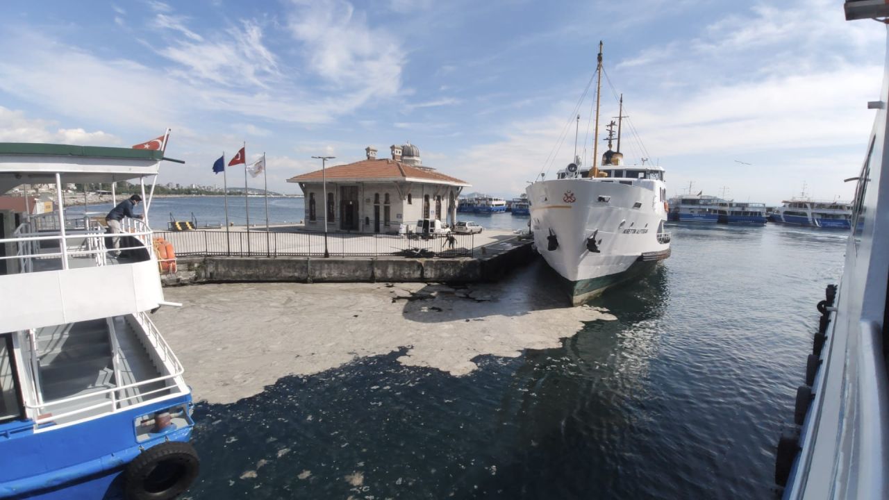 Deniz salyası Marmara Denizi'ni esir aldı! 1