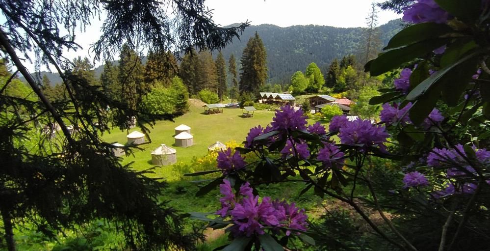 Burada 10 günlük tatil bedava! Tek bir şartı var... 1