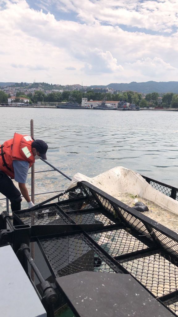 Türkiye'nin en büyük deniz seferberliği başladı! Denizlerdeki müsilaj temizleniyor 31