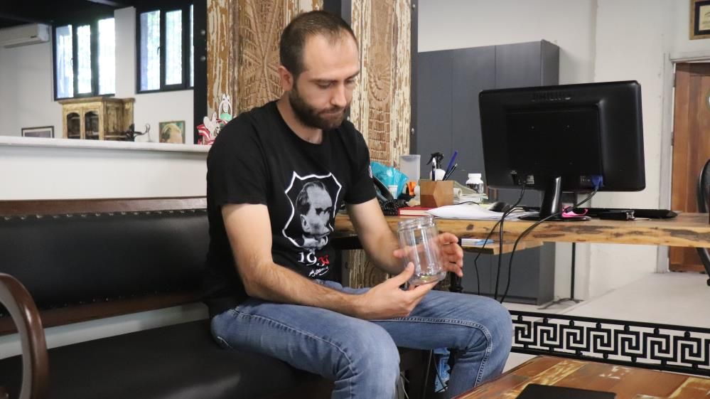 Görenler hayrete düşüyor: Nadir bulunan insan yüzlü örümcek Denizli'de çıktı! 5
