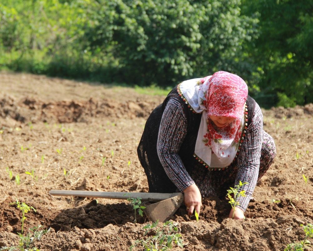 Kocaeli'nin tozlu topraklı köy yollarının ATV'li Seher ablası 11