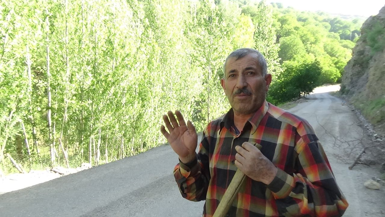 Görenler hayrete düştü! Muş’ta ortaya çıkan dev çekirgeler bu kez Adıyaman'da görüldü 16
