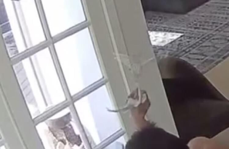 Böyle rezillik görülmedi: Çırılçıplak dolaşıp yaptıkları şoke etti! 10