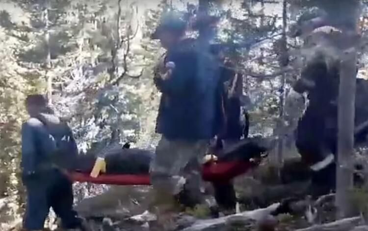 Dünya bu olayı konuşuyor: Ayı, 16 yaşındaki çocuğu canlı canlı yedi! 7