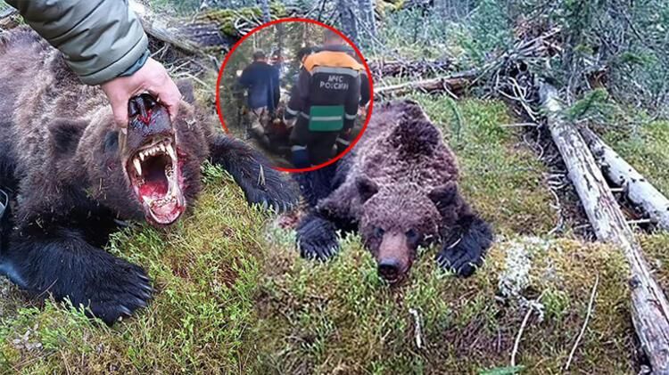 Dünya bu olayı konuşuyor: Ayı, 16 yaşındaki çocuğu canlı canlı yedi! 9