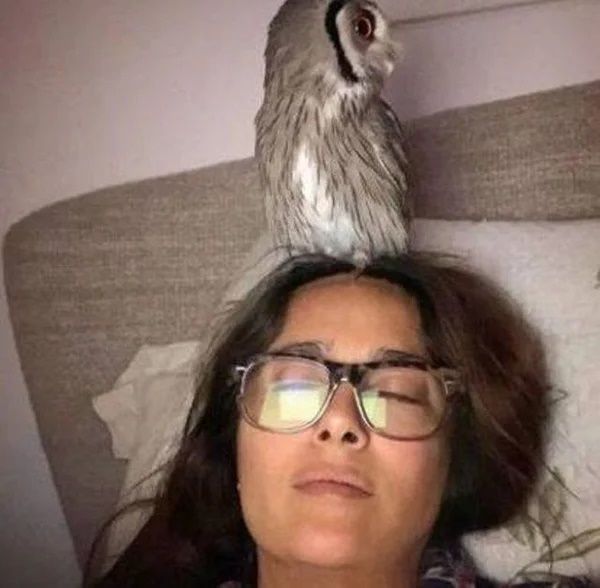 Ünlü oyuncudan bomba itiraf: Kocam yokken onunla yatıyorum! 2