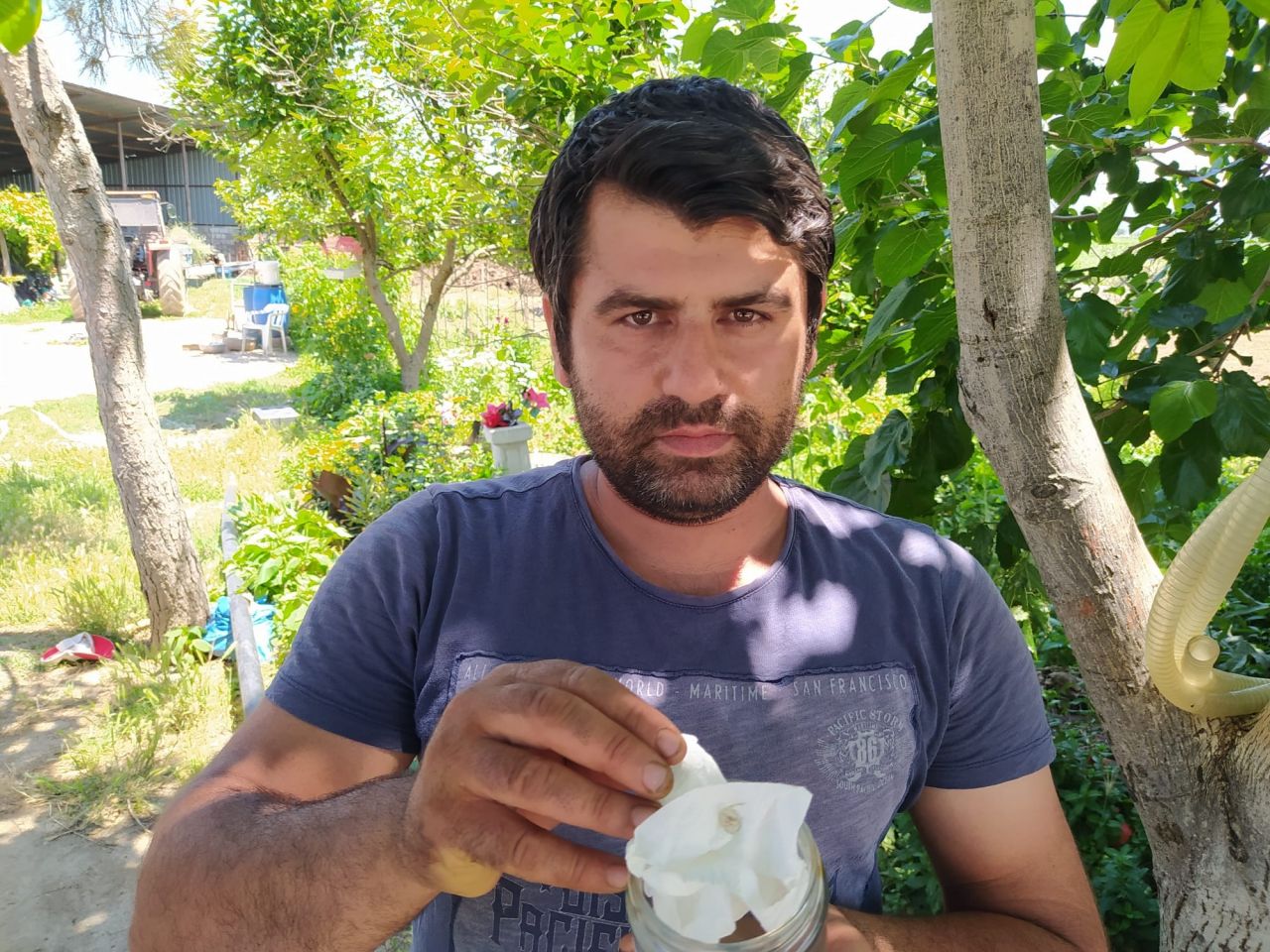 İnsan yüzlü örümcek (thomisus onustus) Türkiye’de 8. kez ortaya çıktı 2