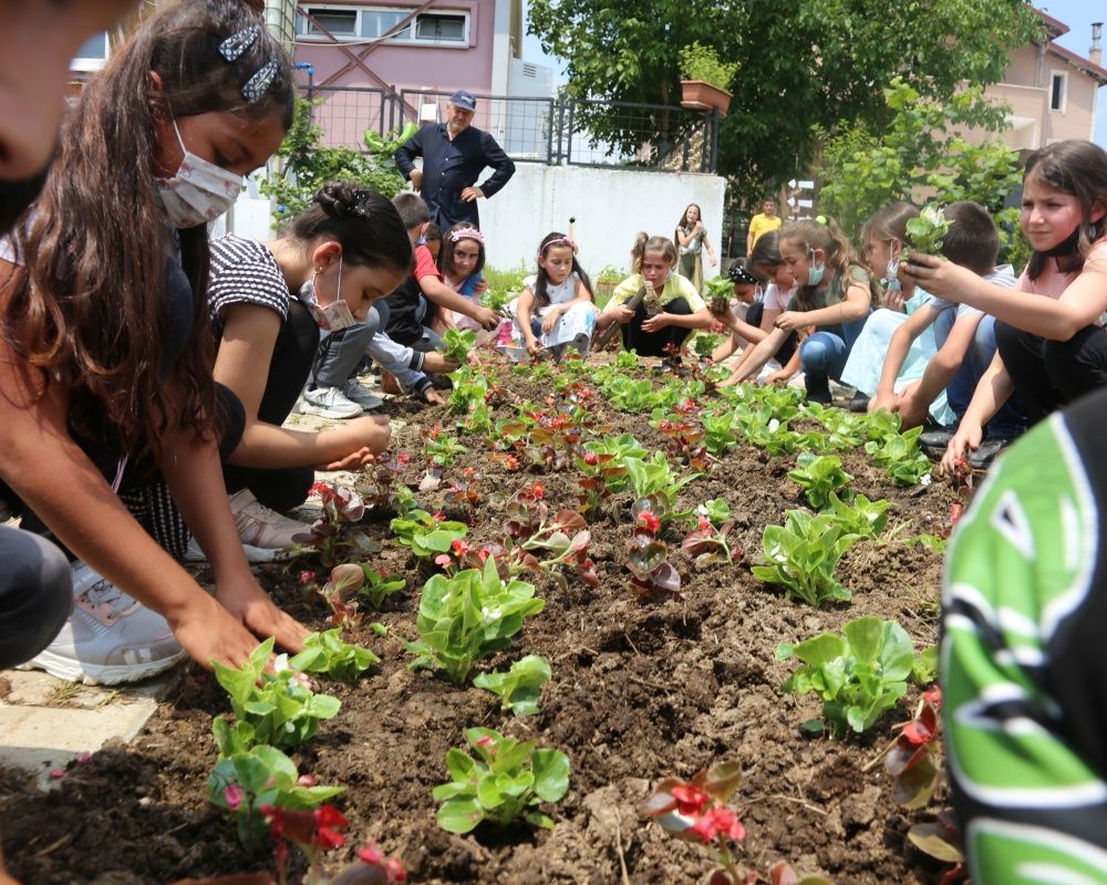 Daha önce hiç böylesini görmediniz... Kocaeli’deki köy okulu şaşırtıyor 7