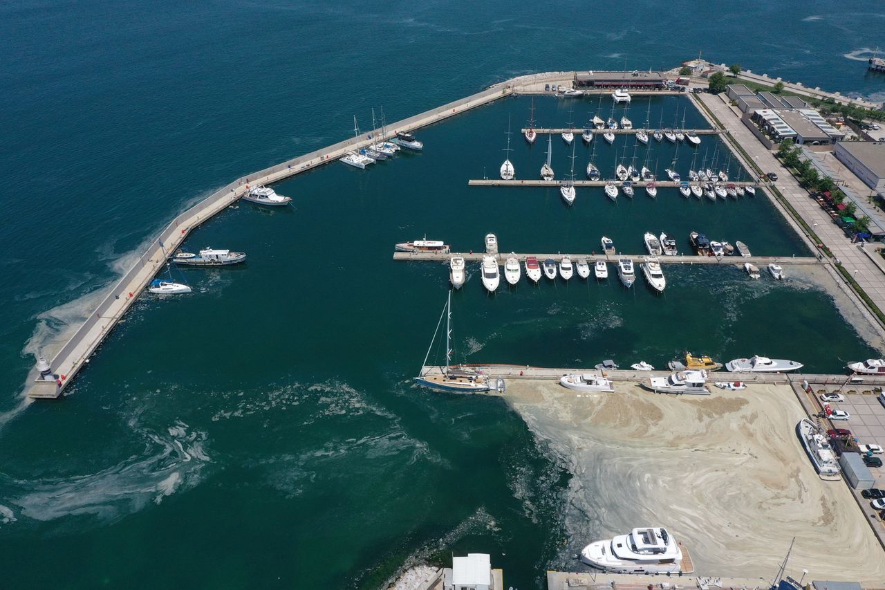 Müsilaj seferberliğinde başarı! Yalova sahilleri büyük oranda temizlendi 2