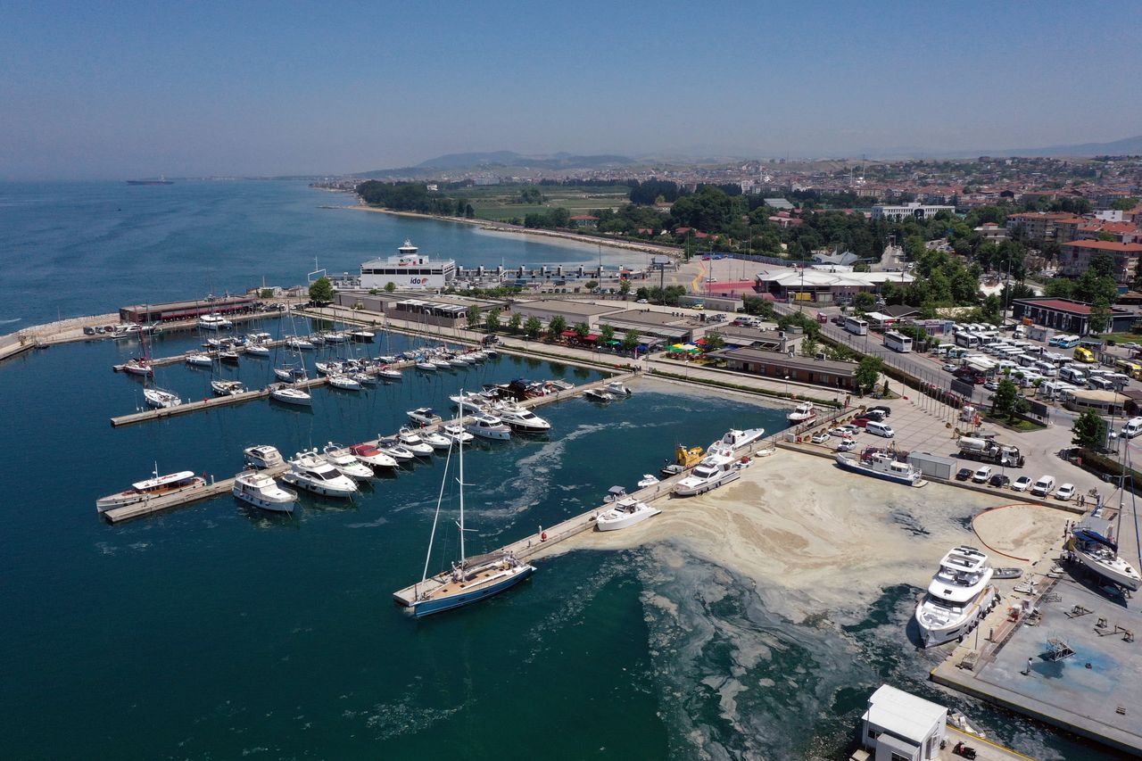 Müsilaj seferberliğinde başarı! Yalova sahilleri büyük oranda temizlendi 3
