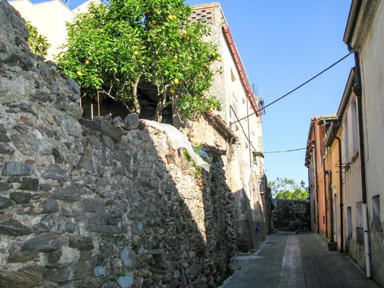 Benzeri görülmemiş uygulama! Buraya taşınana 33 bin dolar ödeme yapılacak... 8