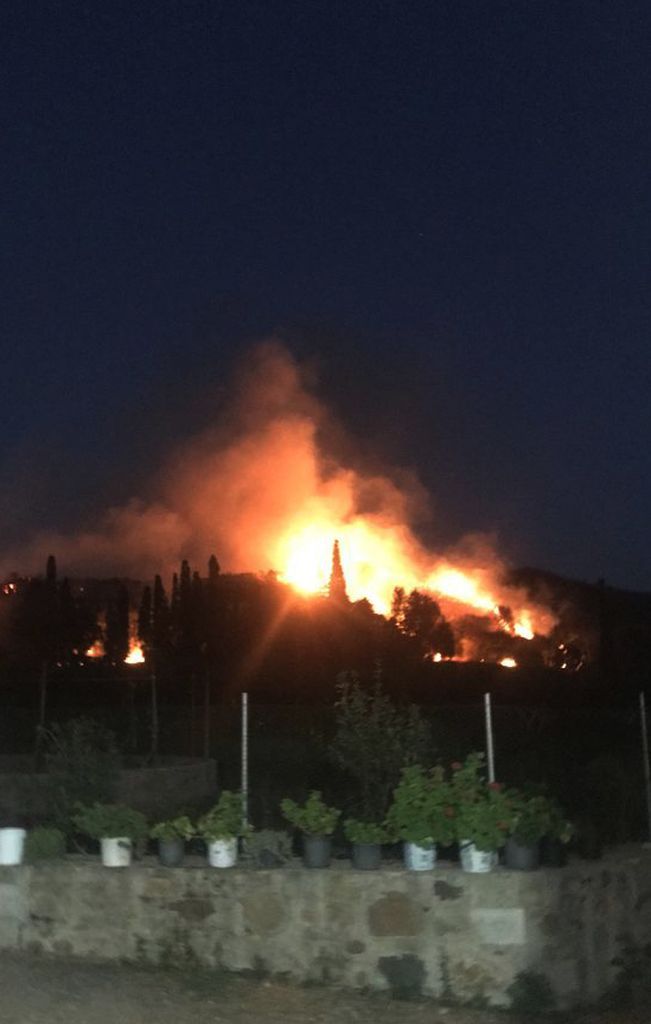 Bodrum'da korkutan yangın! 2 farklı noktada çıktı 3