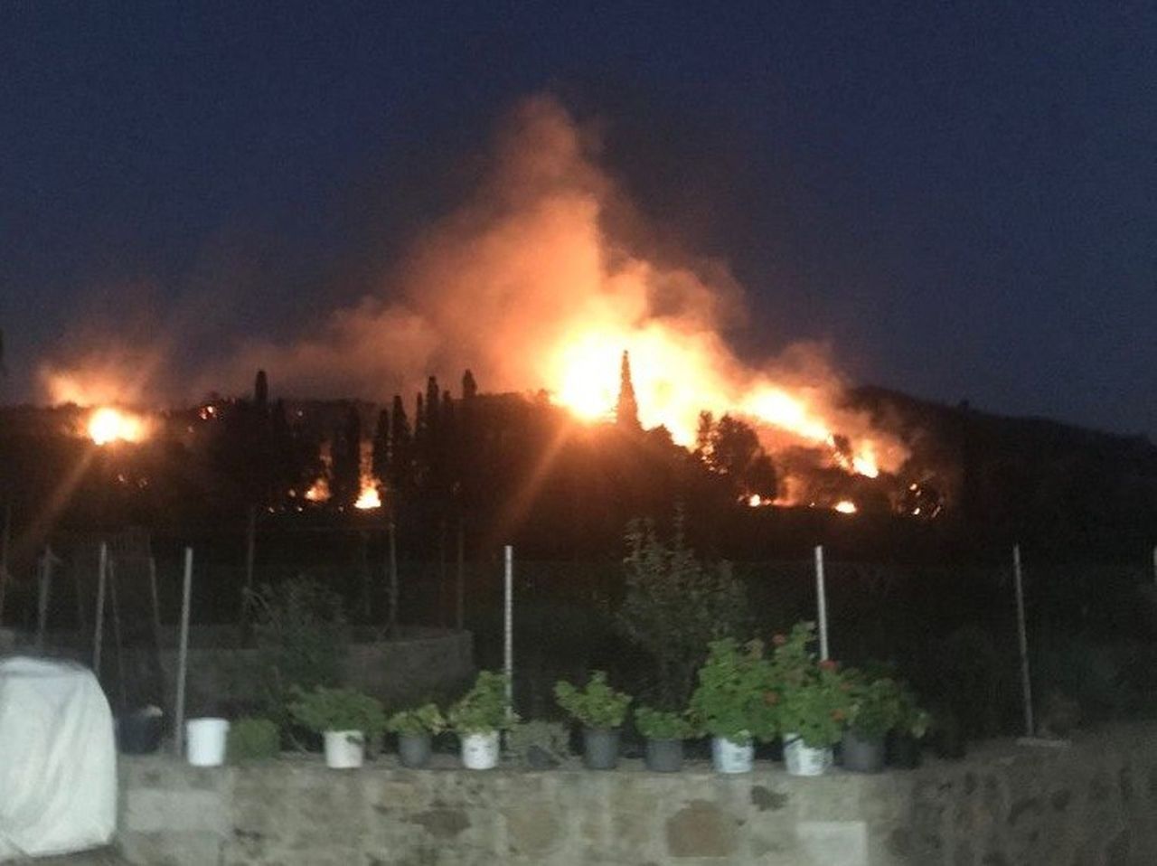 Bodrum'da korkutan yangın! 2 farklı noktada çıktı 12