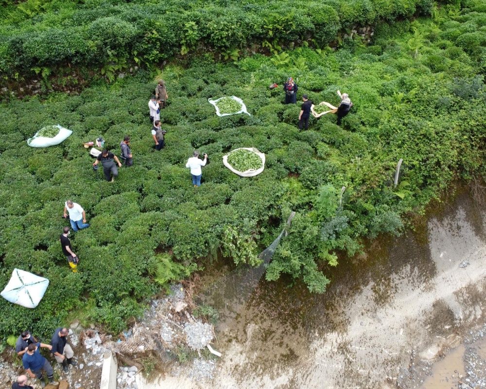 Doğu Karadeniz'de sel felaketinin bilançosu ağır oldu! Artvin'de selin izleri siliniyor 38