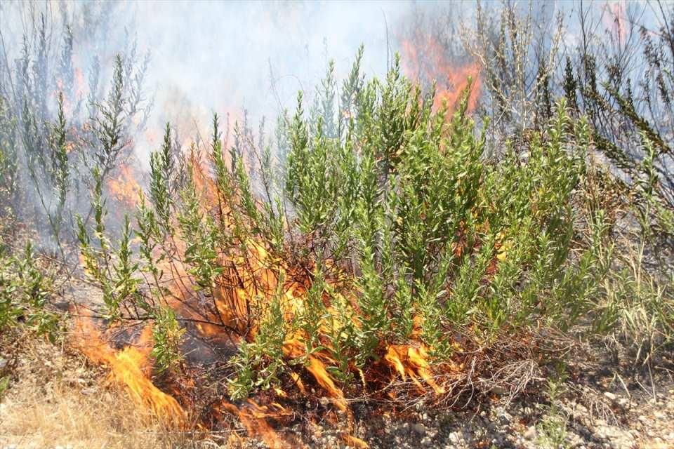 Manavgat alevlere teslim! Köyler tamamen yandı! Çok sayıda yaralı var... 13
