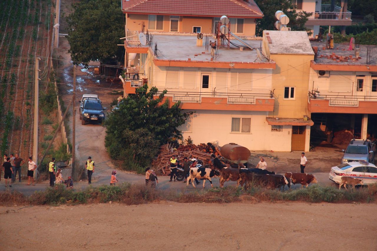 Manavgat'ta alevlerin arasına daldı! Yaşlı çift ve torunları yangından böyle kurtarıldı 8