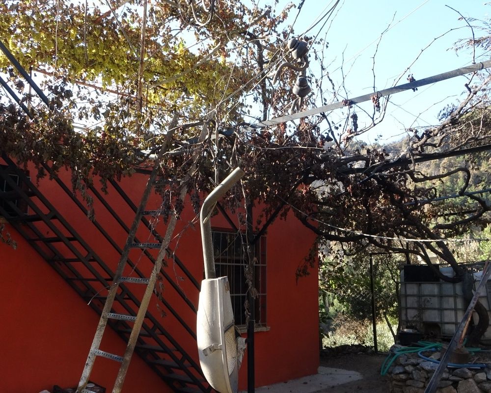 Adana’nın Aladağ ilçesinde çıkan yangından geriye ailelerin acılı hikayeleri, küle dönmüş evler ve orman kaldı 32