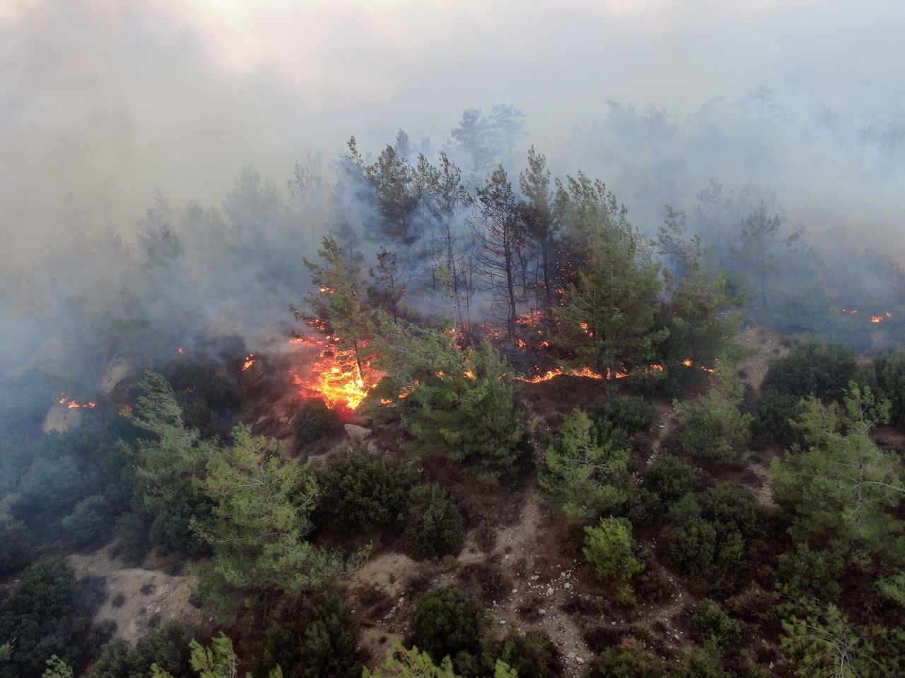 Alevler Gökbel Dağları'nı esir aldı 3