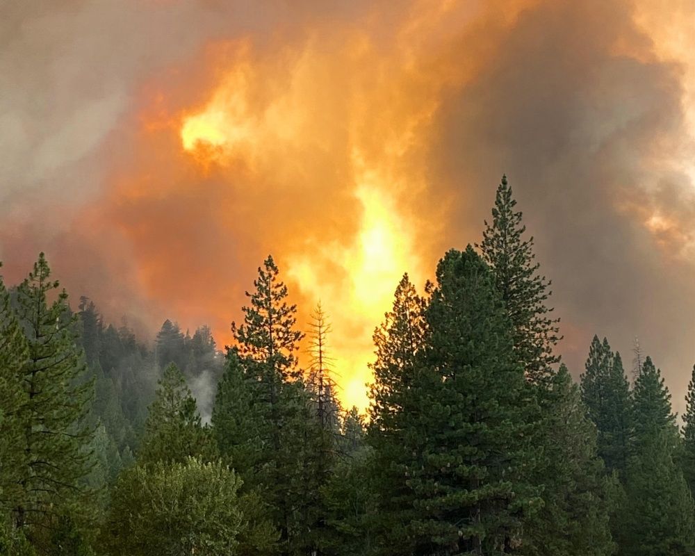 California tarihinin en büyük 3. yangınını yaşıyor! 3 haftadır söndürülemedi 51