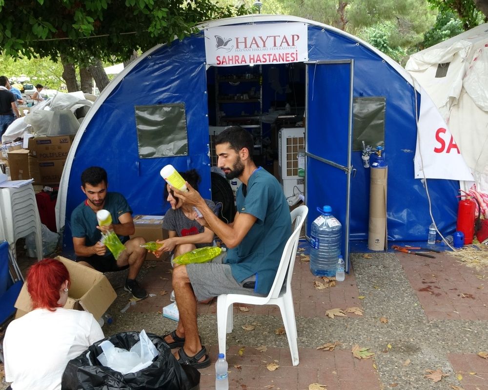 Manavgat'taki orman yangınında zarar gören bütün hayvanlar tedavi ediliyor 31