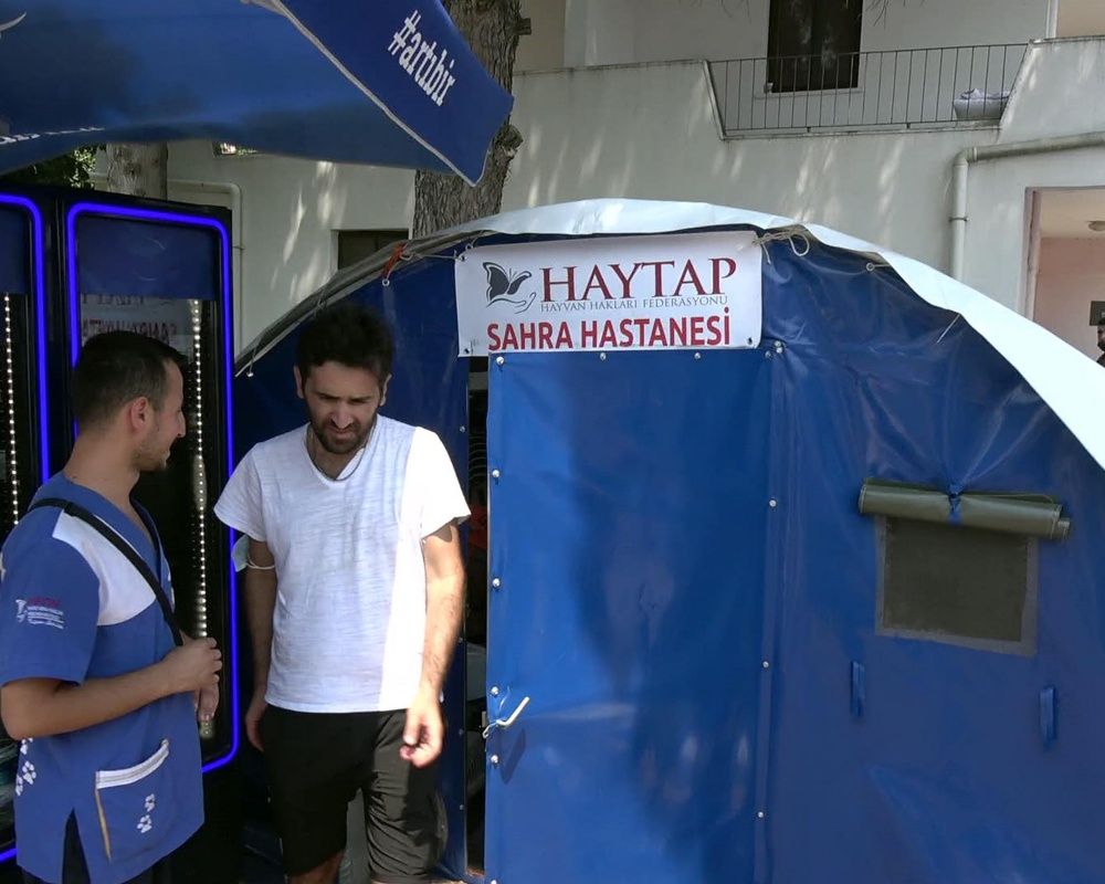 Manavgat'taki orman yangınında zarar gören bütün hayvanlar tedavi ediliyor 4