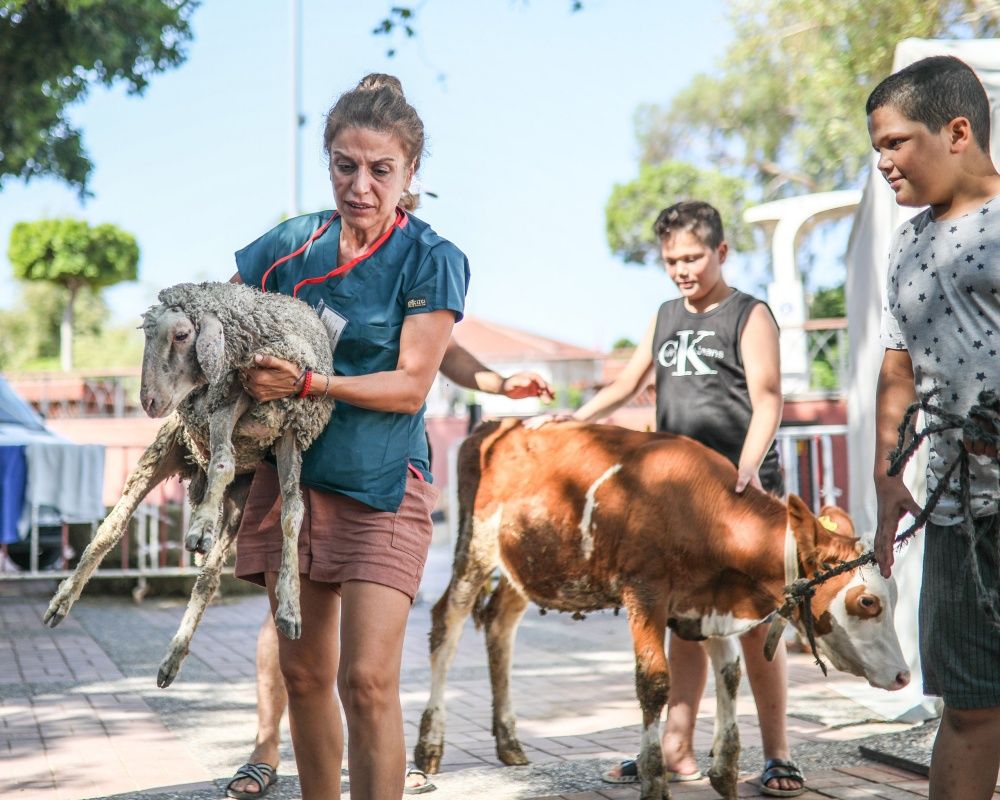 Manavgat'taki orman yangınında zarar gören bütün hayvanlar tedavi ediliyor 32