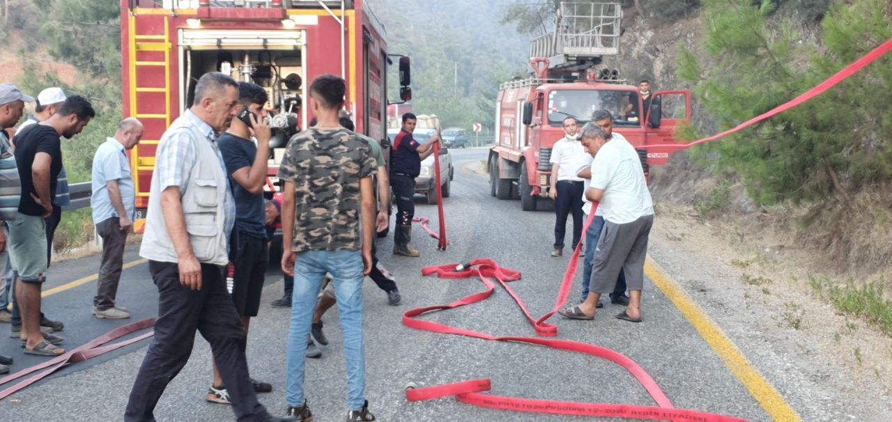 Aydın'ın Bozdoğan ilçesindeki orman yangını kontrol altına alındı 4
