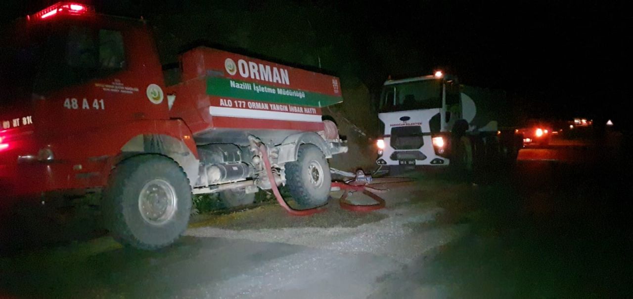 Aydın'ın Bozdoğan ilçesindeki orman yangını kontrol altına alındı 11