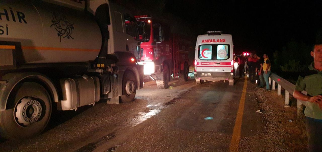 Aydın'ın Bozdoğan ilçesindeki orman yangını kontrol altına alındı 12