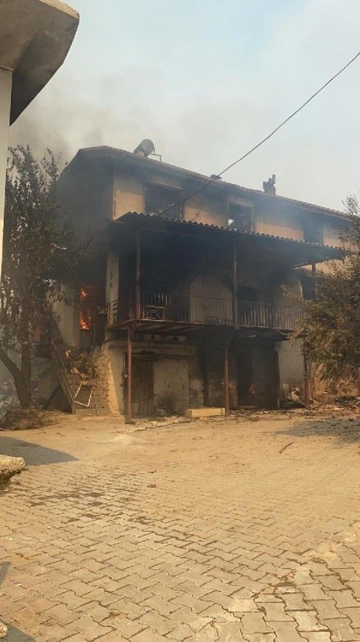 Fatma Teyze yeni evine kavuşuyor! Demet Akalın müjdeyi sosyal medyadan verdi 2