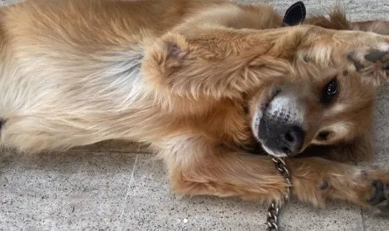Yasak Elma'nın yeni yüzü Yasmin Erbil'den olay yatak pozu! "Sürpriz sonlu" 9