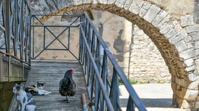 Görülmemiş kampanya: 10 TL'ye ev sahibi olabilirsiniz! Tek bir şartı var... 10