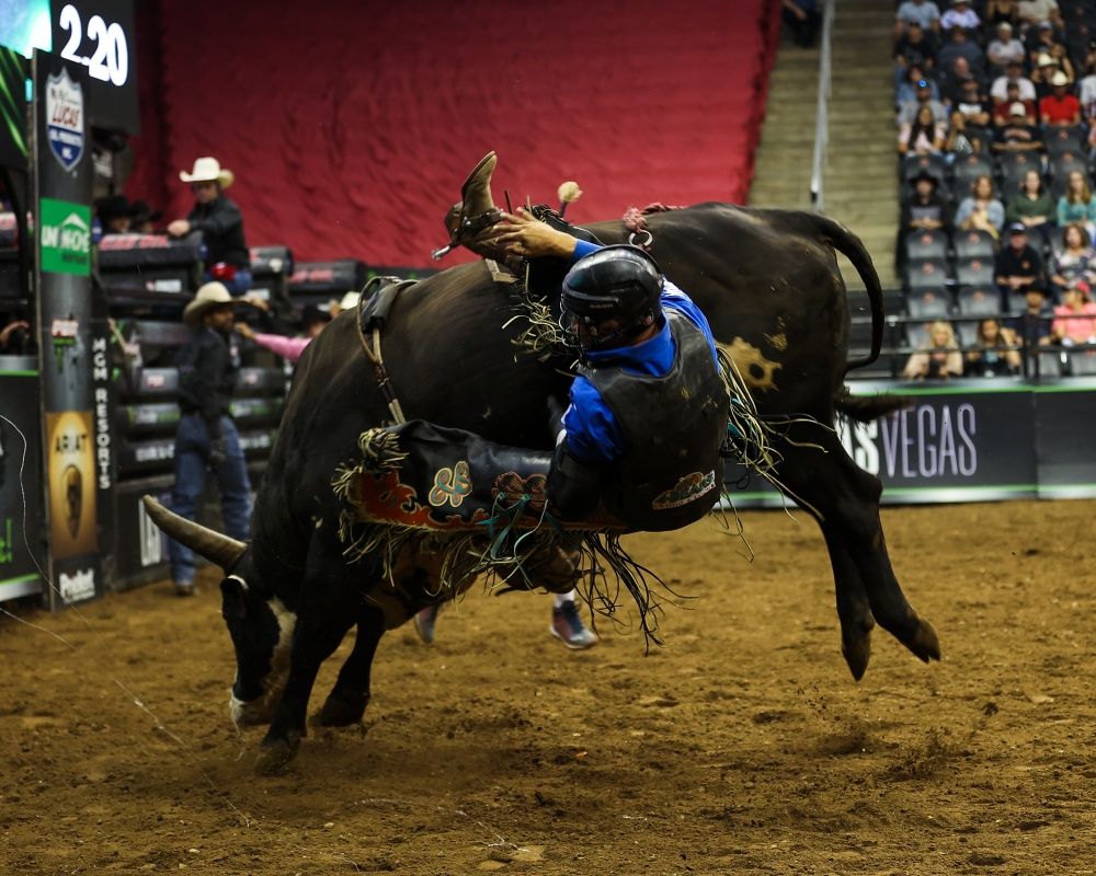 New Jersey'de rodeo etkinliği düzenlendi 4