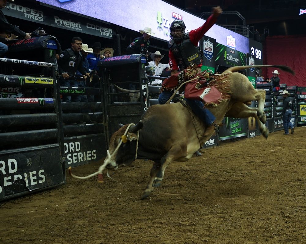 New Jersey'de rodeo etkinliği düzenlendi 10