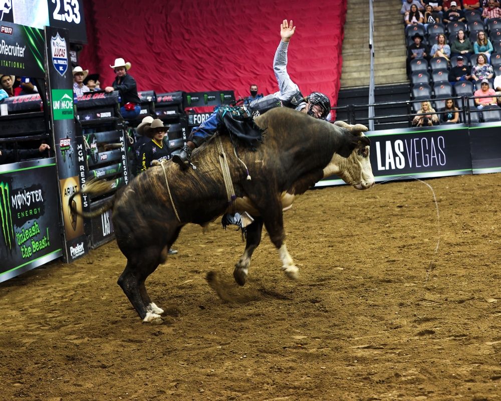 New Jersey'de rodeo etkinliği düzenlendi 12