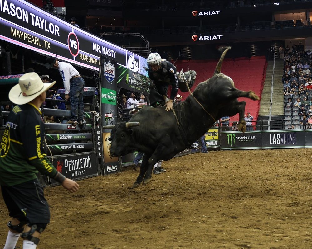 New Jersey'de rodeo etkinliği düzenlendi 29