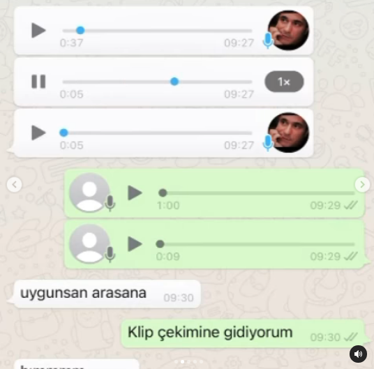Sosyal medya fenomeni Ece Ronay, Mehmet Ali Erbil'in kendisine attığı mesajları ifşa etti! Ünlü sanatçı olay sonrası açıklama yaptı 4
