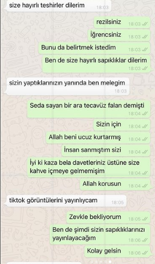 Sosyal medya fenomeni Ece Ronay, Mehmet Ali Erbil'in kendisine attığı mesajları ifşa etti! Ünlü sanatçı olay sonrası açıklama yaptı 7