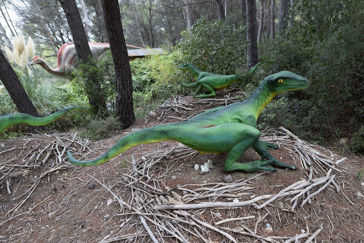 Fransa'da kendinizi Jurassic Park'ta hissettirecek müze: Dinozor ve Tarih Öncesi Müzesi 2