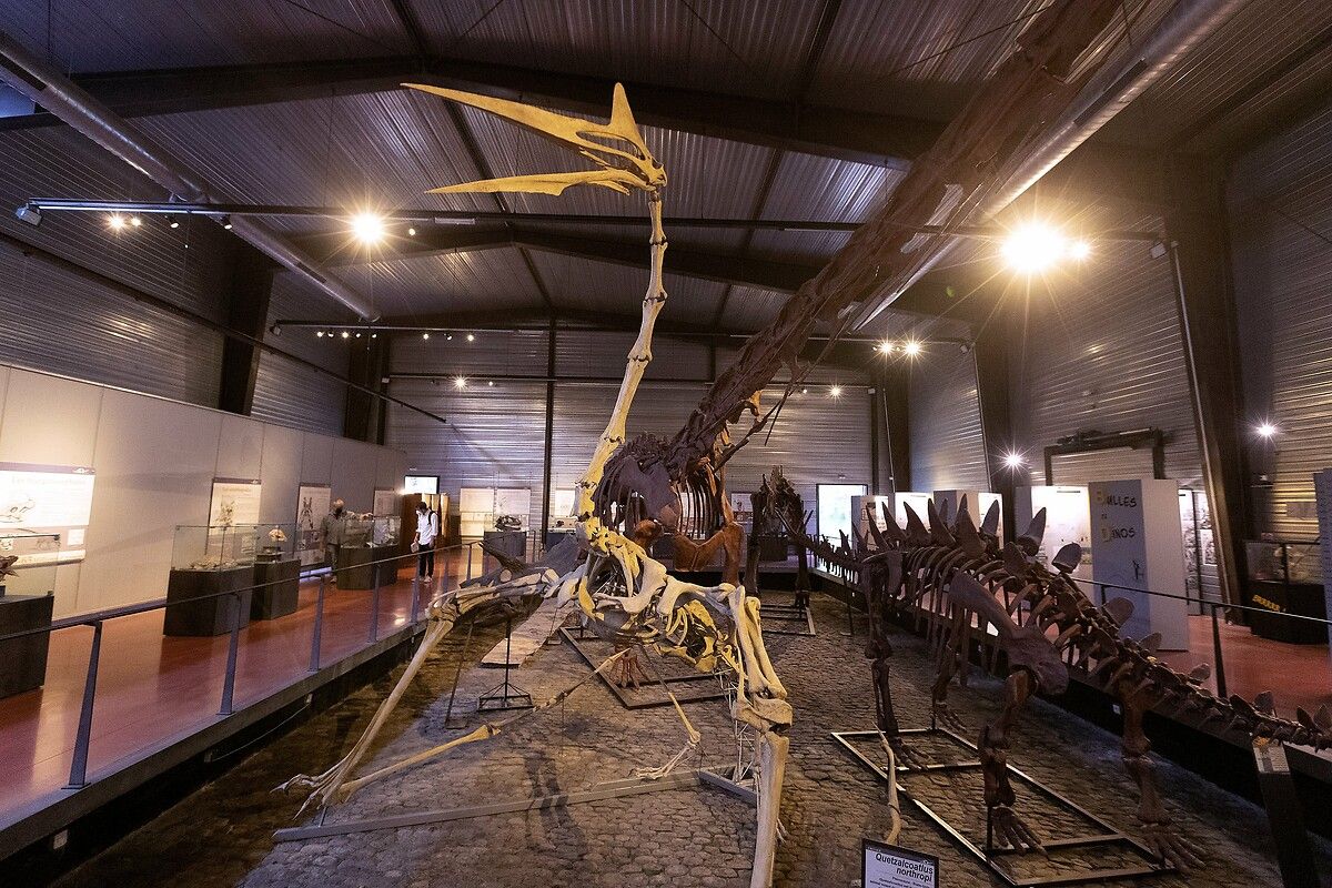 Fransa'da kendinizi Jurassic Park'ta hissettirecek müze: Dinozor ve Tarih Öncesi Müzesi 3