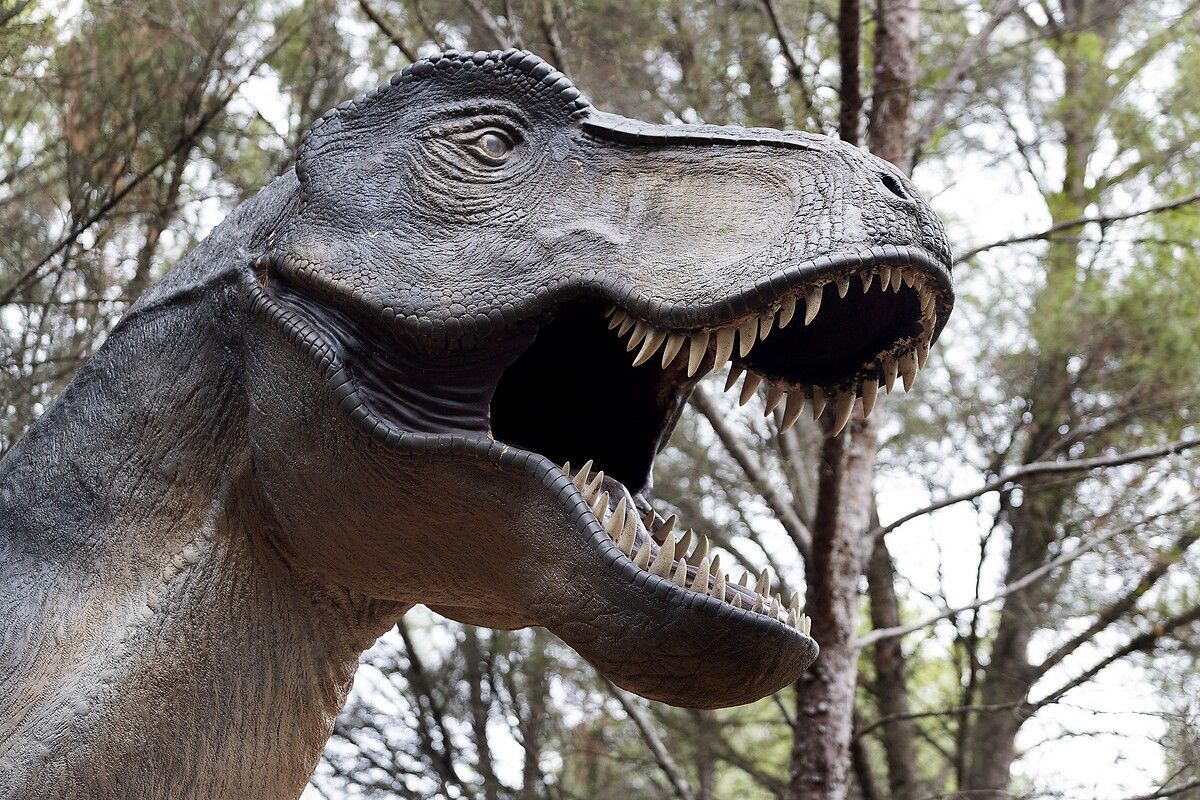 Fransa'da kendinizi Jurassic Park'ta hissettirecek müze: Dinozor ve Tarih Öncesi Müzesi 6