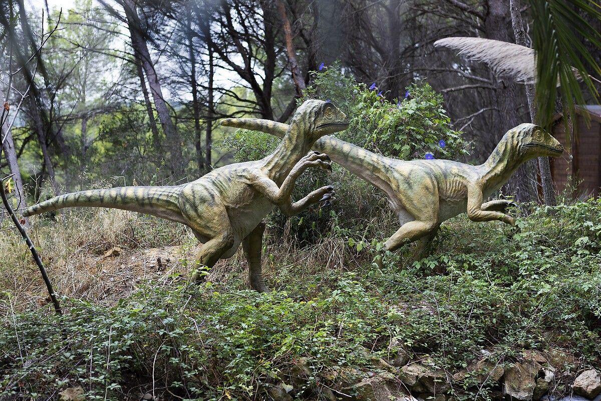 Fransa'da kendinizi Jurassic Park'ta hissettirecek müze: Dinozor ve Tarih Öncesi Müzesi 7
