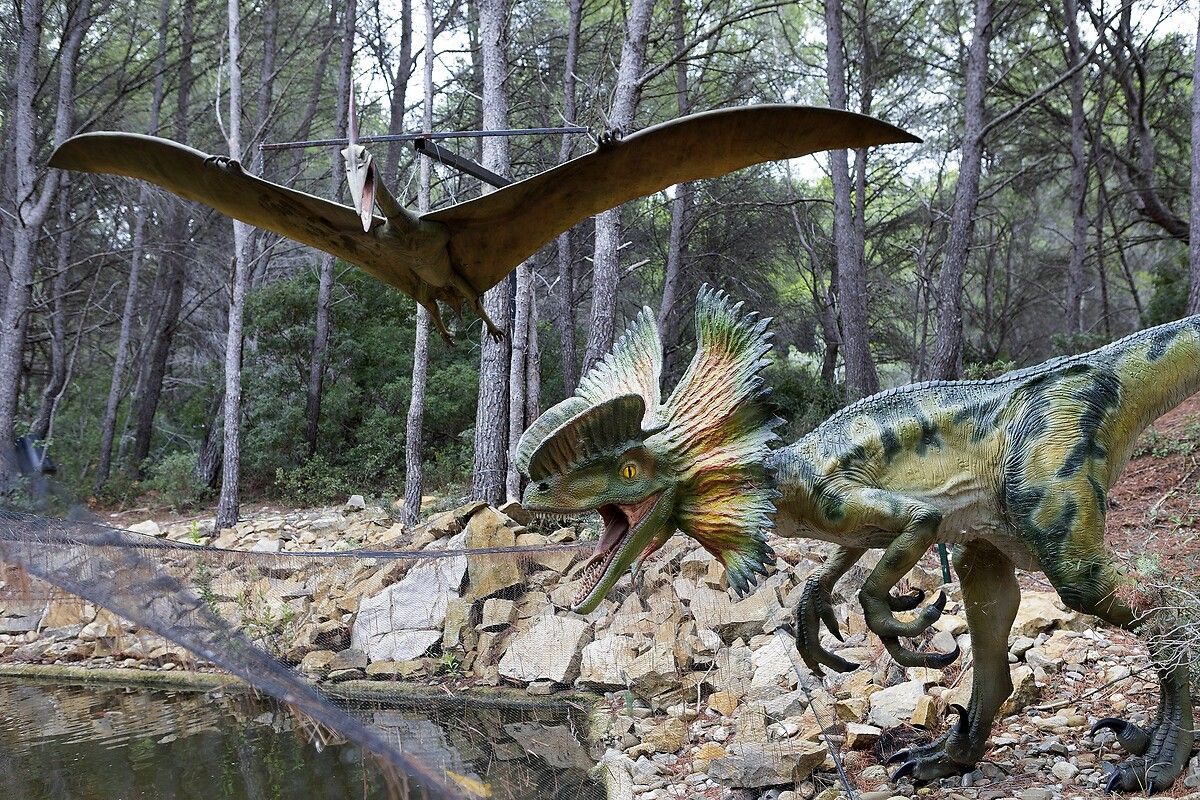 Fransa'da kendinizi Jurassic Park'ta hissettirecek müze: Dinozor ve Tarih Öncesi Müzesi 8