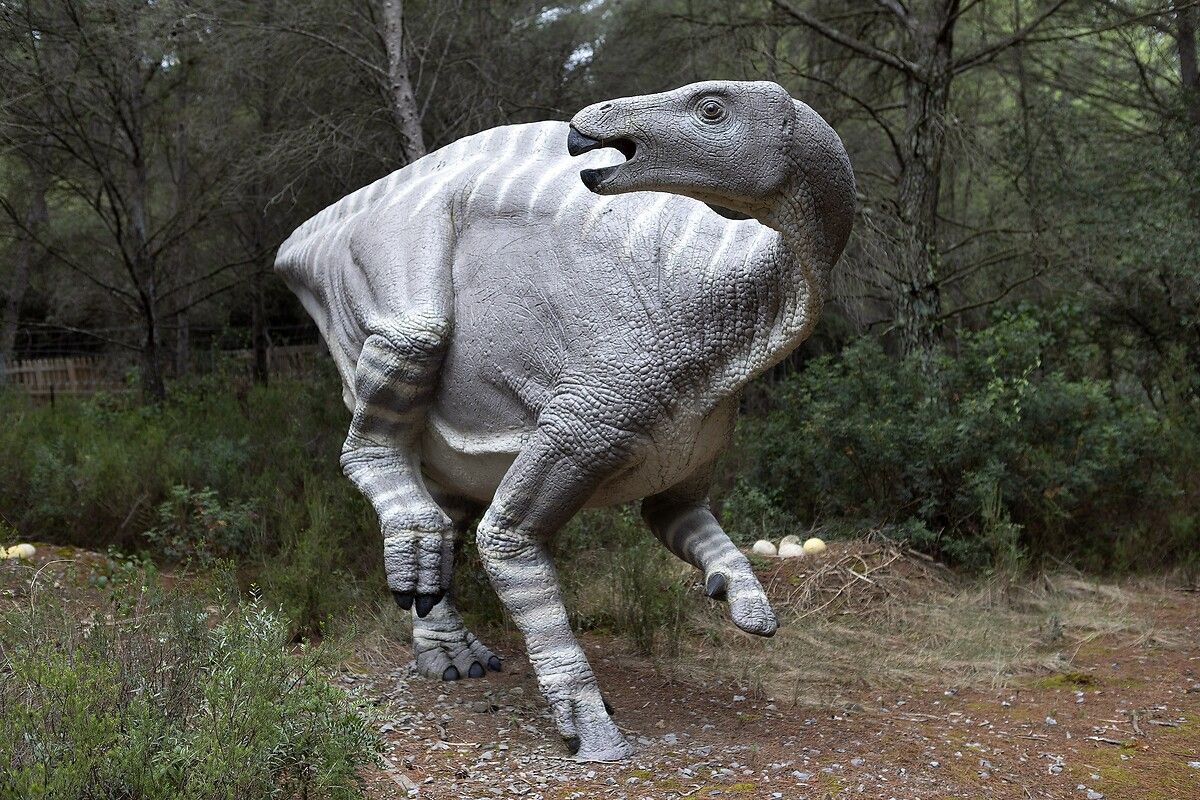 Fransa'da kendinizi Jurassic Park'ta hissettirecek müze: Dinozor ve Tarih Öncesi Müzesi 9