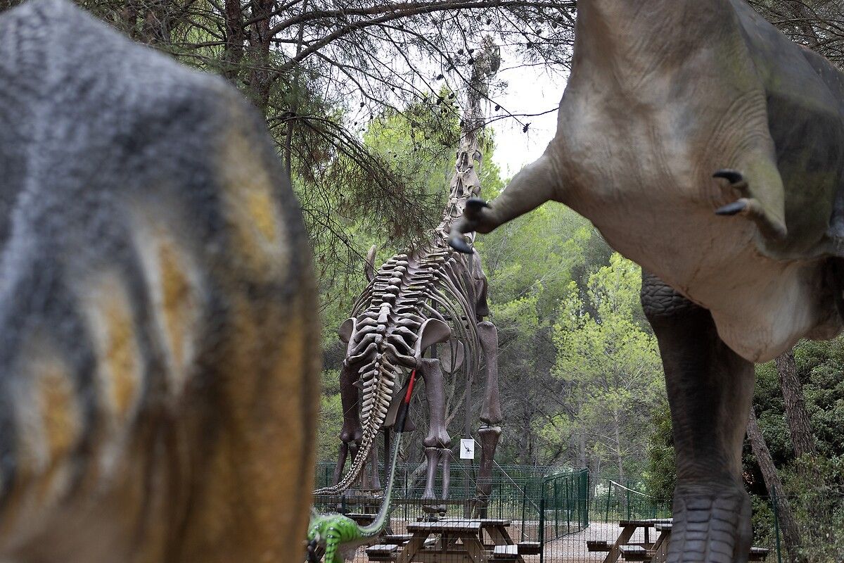 Fransa'da kendinizi Jurassic Park'ta hissettirecek müze: Dinozor ve Tarih Öncesi Müzesi 10