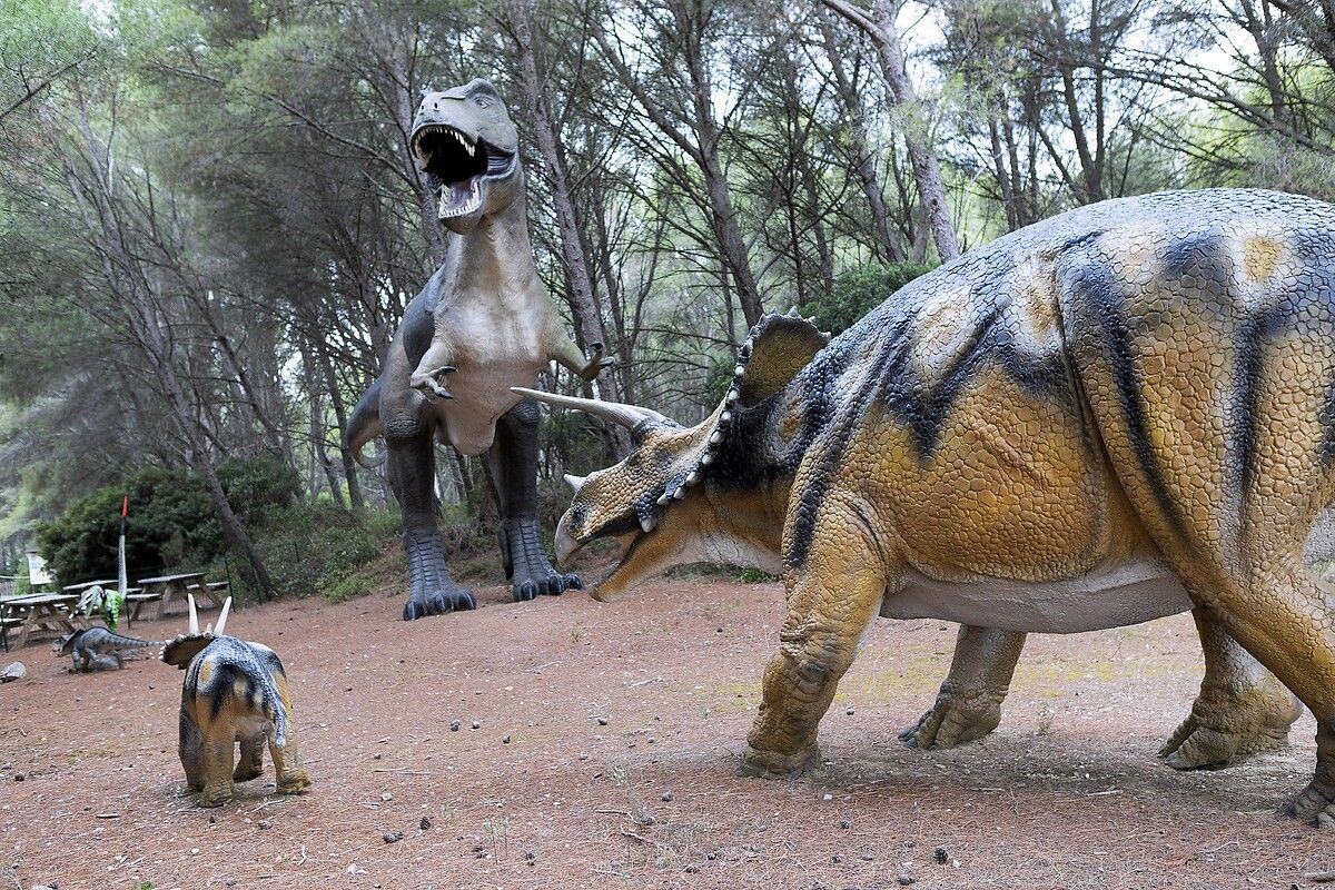 Fransa'da kendinizi Jurassic Park'ta hissettirecek müze: Dinozor ve Tarih Öncesi Müzesi 11