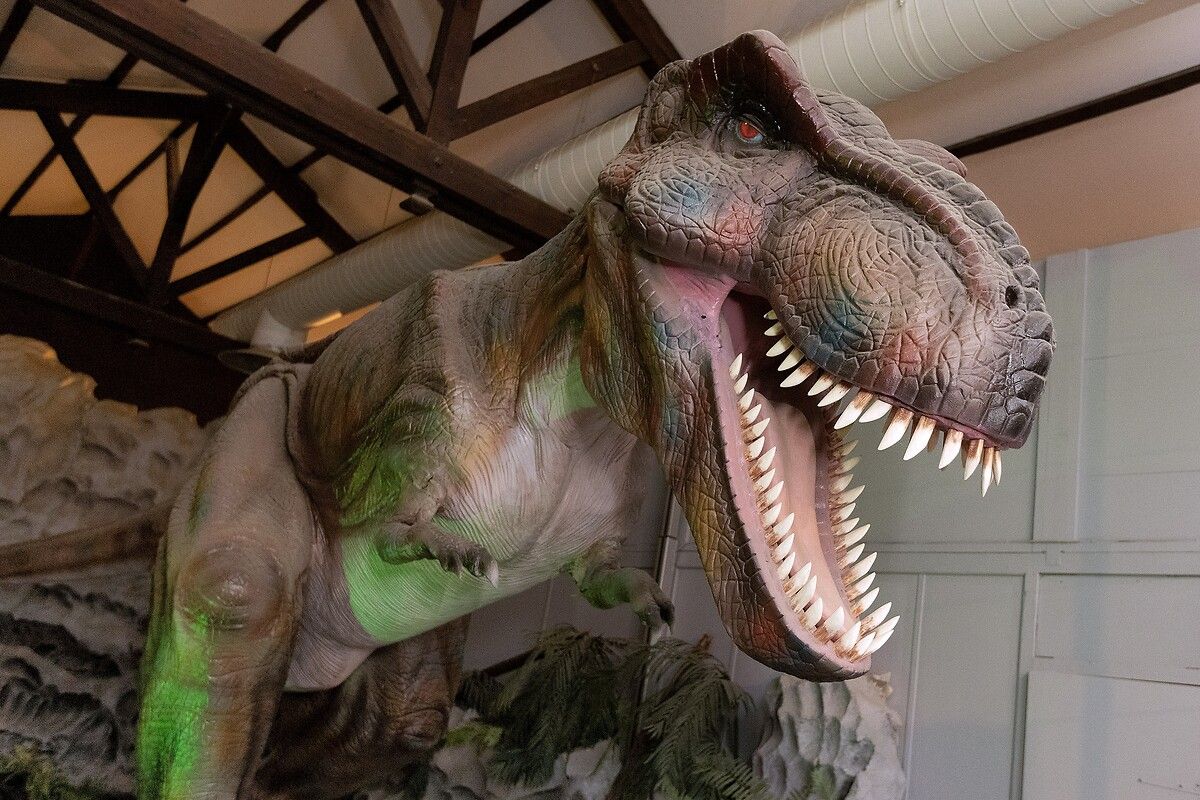 Fransa'da kendinizi Jurassic Park'ta hissettirecek müze: Dinozor ve Tarih Öncesi Müzesi 12